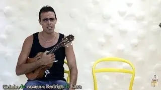 Cifra - Insensato destino - Almir Guineto