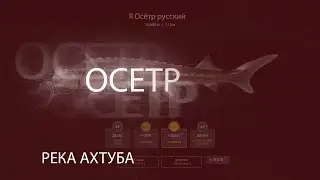 Русская рыбалке 4! РР4! RF4! Река Ахтуба - Осетр!