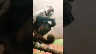 #Зоопарк #Обезьяна кушает