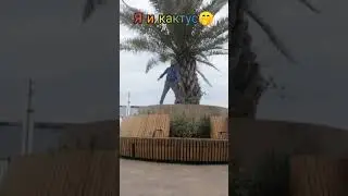 Я и кактус🤣 Как ваши дела?❤️ Ходим в школу, грызём гранит науки?) #dance #лето #осень2024 #школа