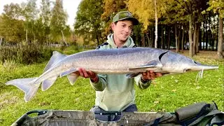 CATCHING A STURGEON IS A JACKPOT!! Sturgeon Fishing
