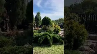 #сад #садоводство #garden #gardendesign #дача #landscape #цветы #растения
