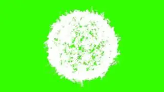 Feather explosion  Green Screen FREE FOOTAGE HD