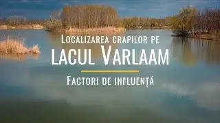 Localizarea crapilor pe lacul Varlaam - factori de influență