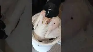 How to Get the JUICIEST Thanksgiving Turkey... (24 HOUR TURKEY BRINE)
