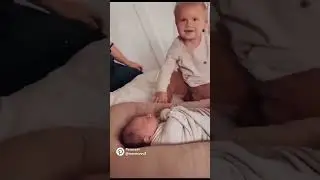 Whatsapp status videolari