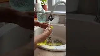 3 августа 2024 г. Мой день