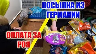 ВНОСИМ ОПЛАТУ ЗА РОЯ! И К НАМ НАКОНЕЦ-ТО ПРИШЛА ПОСЫЛКА ОТ ПОДПИСЧИКОВ!!!