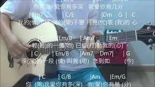 The Moon Represent My Heart  張國榮 guitar cover
