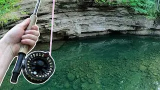 Creek fishing for bass in a CRYSTAL CLEAR mountain creek!!! (FLY FISHING FOR BASS)