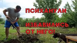 ИЗ ГОРОДА В ДЕРЕВНЮ | ДАВНО НУЖНО БЫЛО ЭТО СДЕЛАТЬ 