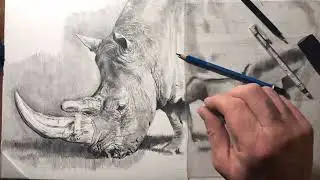 Come disegnare un rinoceronte parte 10