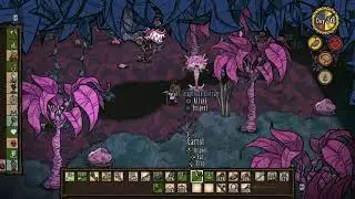 Don't Starve [Hamlet] Humid Season Chaos in the Rain Forest - Day 240