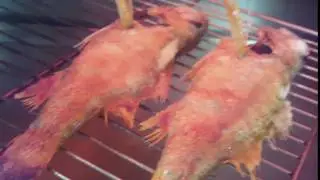 新竹推薦餐廳~舞饌料亭~食材新鮮~創意料理