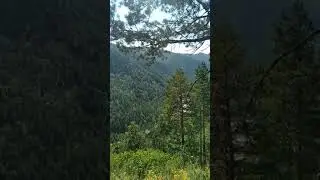Вершина только там)
