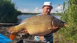 Ловля карпа летом на Марьевке. CARP PRO One 2019. Часть 1.