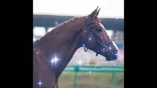 Почему меня так долго не было?+ чит. опис.