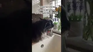 Зато много 😅
