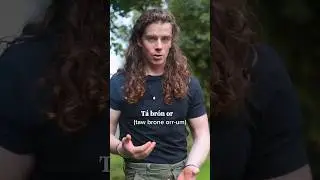 I'm Sorry in Irish 🇮🇪 #shorts #youtubeshorts #youtubechamps