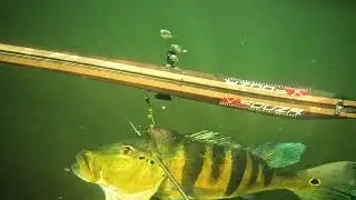 Pesca Sub - Arbalete Artesanal Central 80cm duall - Teste