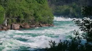 Niagara Gorge Rapids from end of trail