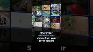 Life with Lorex Contest #contest #securitycamera #trendingvideo