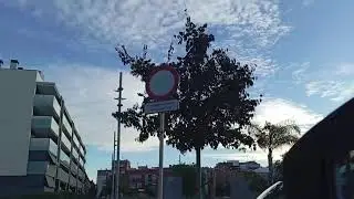 Cielo Cornellá