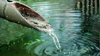 Música Relajante y Sonidos de Agua de Bambú Para Dormir # 4