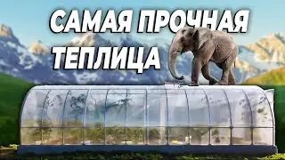Эта теплица выдержит даже СЛОНА!