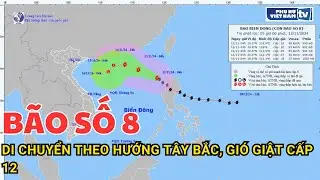 Bão số 8 di chuyển theo hướng Tây Bắc, gió giật cấp 12