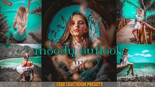 Moody Portrait outlook preset | Lighroom mobile preset (Lighroom preset)