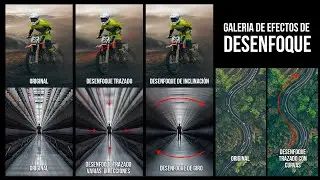 Desenfoques Creativos: Guía Completa de la Galería de Desenfoque en Photoshop