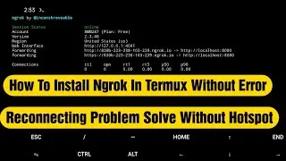 How to install Ngrok & reconnecting problem  solve without  hotspot..