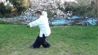 Tai Chi basics - Mingmen out