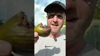 Alien Fruit.  What is it? 