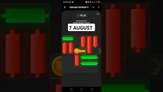 7 August key in Hamster Komnbat Mini Game puzzle resolved