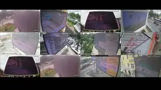 amedia отчеты
