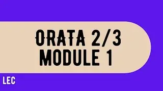 Orata 2 / 3
