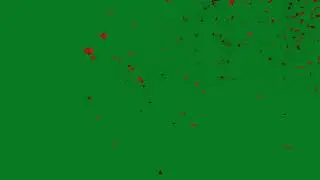 HD Green Screen Leaves Flower Falling Motion Effect || free use no copyright