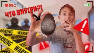 🥑ЧТО ВНУТРИ КОСТОЧКИ АВОКАДО!?  ***ЭТО БЫЛО НЕОЖИДАННО***.