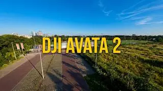 My First FPV Edit in Adobe Premiere Pro | DJI Avata 2