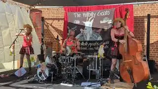 Australian Band The Hillbilly Goats!  crazy good music!