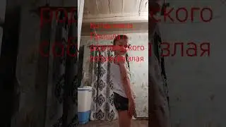 жиза