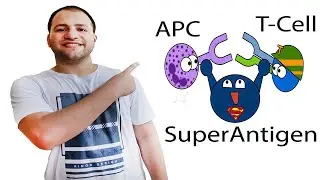 SuperAntigen
