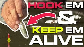 Panfish Feast! Hook Live Bait Effortlessly!  (Easy Tricks Revealed!)