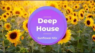 Nu-Disco & Deep House Selection / Sunflower Mix