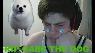 Rip Gabe The Dog (Tribute) You Will Be Remembered