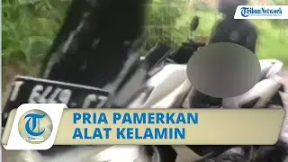 Viral Video Pria Pamerkan Alat Vitalnya di Karawang, Pelaku Langsung Kabur Aksinya Diketahui Korban