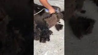 Куй жуни оладиган вакт келди
