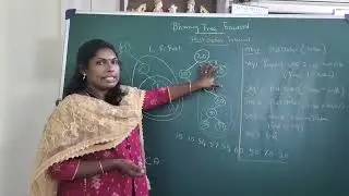 PostOrder Tree Traversal in Data Structures in Tamil